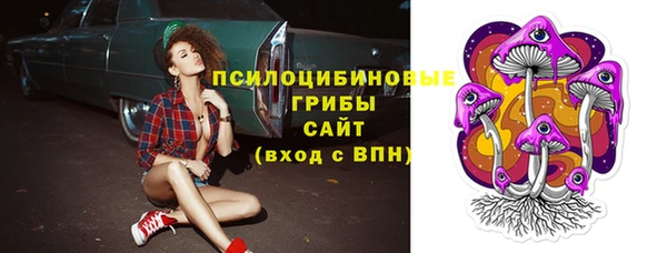 твердый Алексеевка