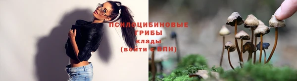 твердый Алексеевка