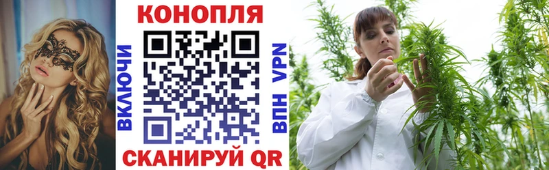 Бошки марихуана LSD WEED  darknet наркотические препараты  Карачаевск 
